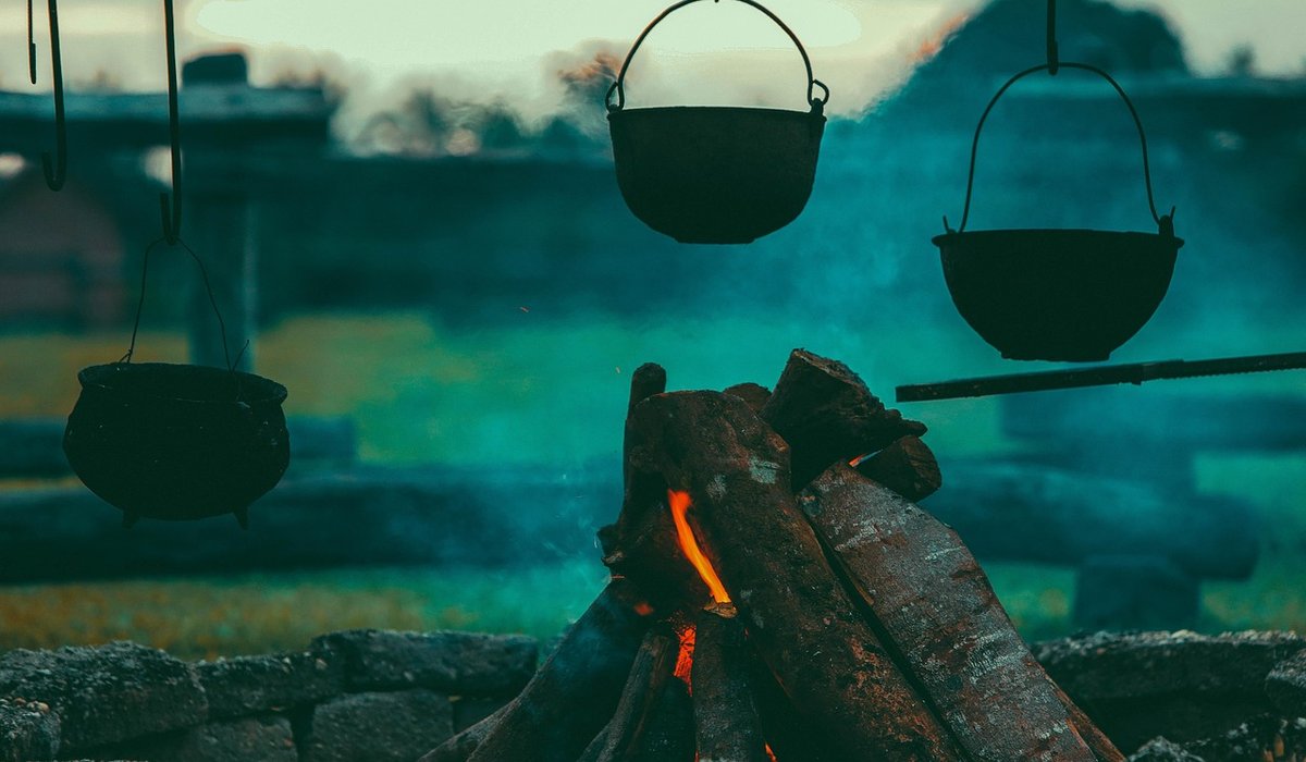 Best Logs for a Clean and Efficient Burn