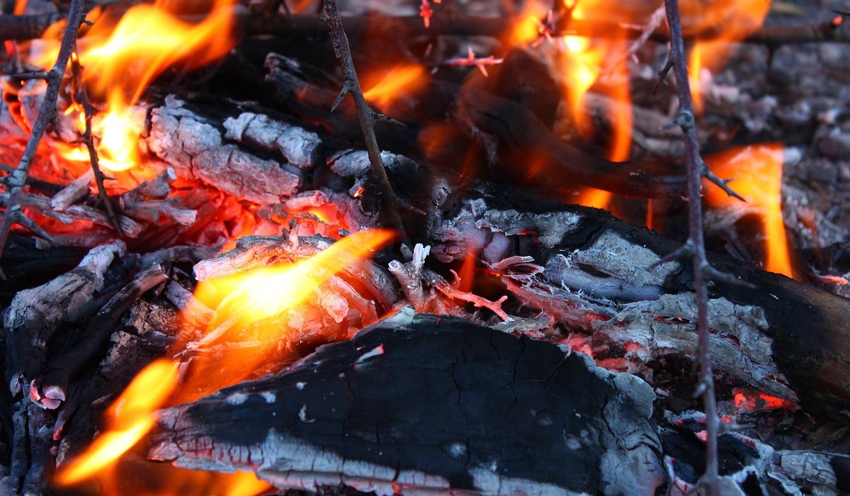 How to Season Firewood at Home Before Winter