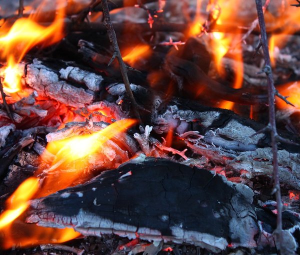 Bold Hearth